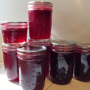 Seedless raspberry jam in jars